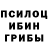 Псилоцибиновые грибы мицелий Diozz