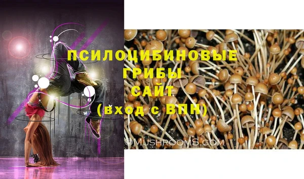 MDMA Premium VHQ Медногорск