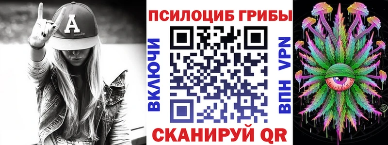 Купить где Бийск Галлюциногенные грибы MAGIC MUSHROOMS