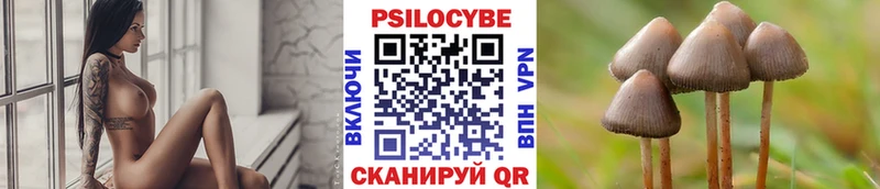 Галлюциногенные грибы ЛСД Бийск